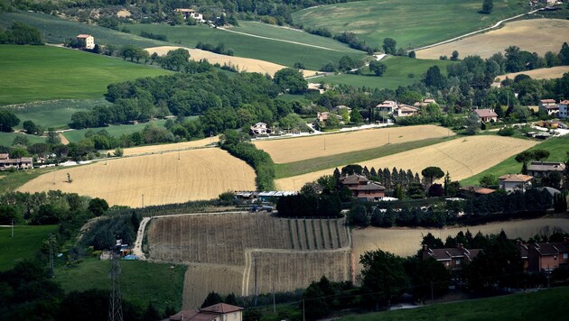 Felder bei Todi, Stadt in der Provinz Perugia (Region Umbrien) (Bild: AFP (Symbolbild))