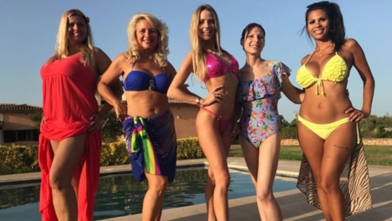 Mörtels Streichelzoo im Bikini (Bild: ATV)