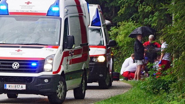 Rettungseinsatz wegen eines Blitzschlages in Waldzell im Innviertel (Bild: Pressefoto Scharinger)