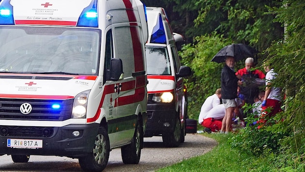 Rettungseinsatz wegen eines Blitzschlages in Waldzell im Innviertel (Bild: Pressefoto Scharinger)