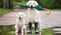 Nach einer wettertechnisch durchwachsenen Woche stehen uns auch in den nächsten Tagen Kälte, Schauer und Nässe bevor. (Bild: thinkstockphotos.de)