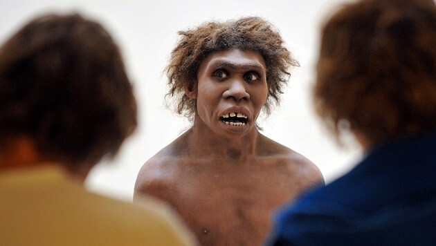 Das Modell eines Neanderthalers im Museum für Prähistorie im französischen Eyzies-de-Tayac (Bild: AFP)
