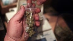 Die Bande soll Cannabis in rauen Mengen verkauft haben (Symbolbild). (Bild: dpa/Oliver Berg (Symbolbild))