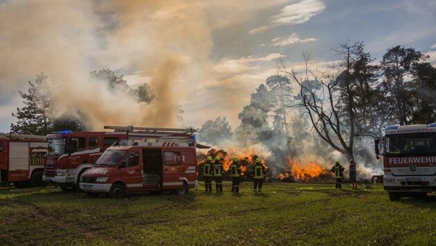 Mehrere Waldviertler Feuerwehren standen im Einsatz. (Bild: Einsatzdoku.at/Führer)