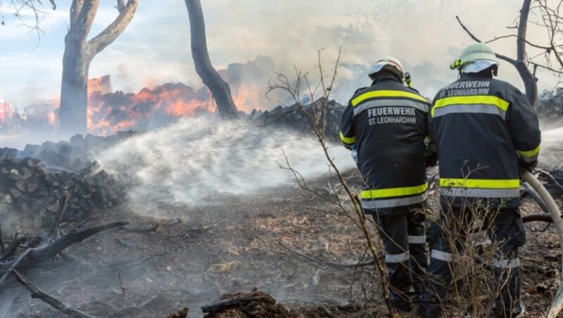 (Bild: BFK Krems/Manfred Wimmer)