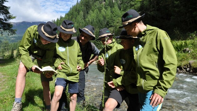 Ein unvergessliches Erlebnis für Jugendliche ist die Ausbildung zum Kärntnermilch Junior Ranger. (Bild: Nationalpark/Kärntnermilch)