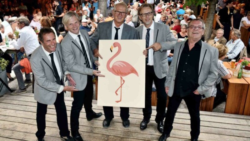 14) Die Flamingos servieren im Linzer Stadtbräu Josef eine ausgelassene Portion Rock 'n' Roll. (Bild: Markus Wenzel)