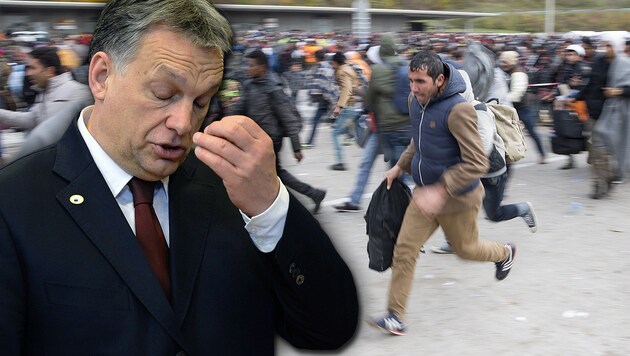 Orbans Flüchtlingspolitik ist vor dem Europäischen Gerichtshof gescheitert. (Bild: APA/Erwin Scheriau, AFP/Thierry Charlier)