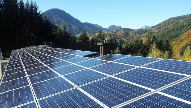 Mit der neuen Veordnung können Photovoltaikanlagen leichter im Grünen errichtet werden. (Bild: zVg)