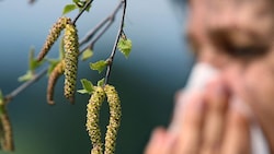 Pollenallergiker leiden im Frühling besonders (Bild: APA/dpa/Karl-Josef Hildenbrand)