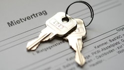 Die Kategoriemieten steigen erneut um fünf Prozent, aber auch bei Privatmieten kommt es zu ...