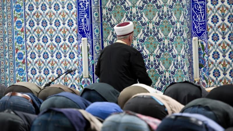 Muslime beten in der Ditib-Moschee in Stuttgart. (Bild: APA/dpa/Daniel Naupold)