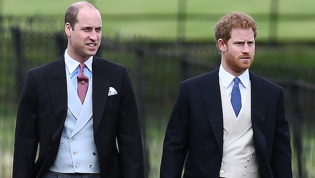 Die Prinzen William und Harry (Bild: AFP)