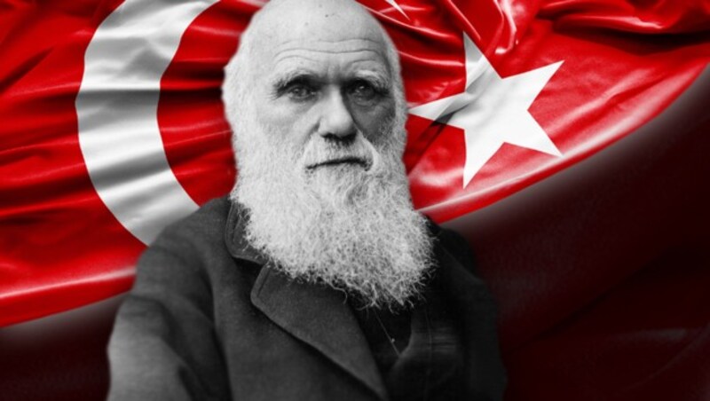 Die Evolutionstheorie von Charles Darwin kommt bei der türkischen Führung nicht gut an. (Bild: dpa/RICHARD MILNER ARCHIVE, thinkstockphotos.de)