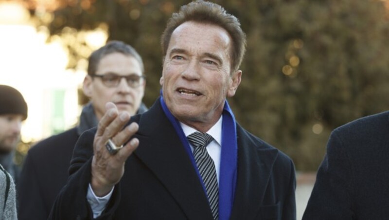 Arnold Schwarzenegger (Bild: APA/ERWIN SCHERIAU)