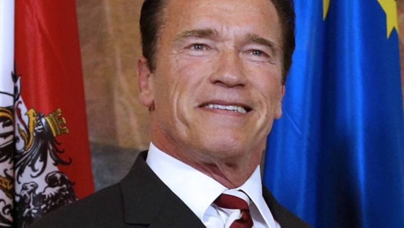 Schwarzenegger 2013 im Rahmen eines Empfanges im Bundeskanzleramt in Wien (Bild: APA/GEORG HOCHMUTH)