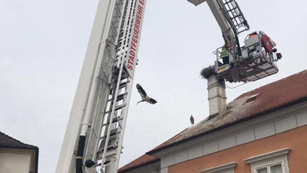 (Bild: APA/Feuerwehr Eisenstadt)