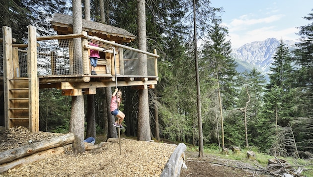 Der Baumhausweg in Fulpmes macht das Wandern für Kinder zum Abenteuer (Bild: TVB Stubai Tirol/Andre Schönherr)