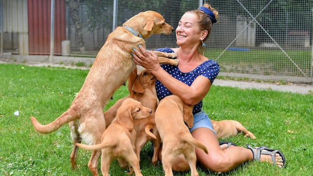 Tierheim-Leiterin Renate Bauer mit jungen Mischlings-Hunden (Bild: © Harald Dostal / 2017)