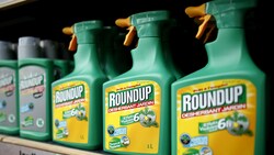 Roundup ist das bekannteste Unkrautvernichtungsmittel, es enthält Glyphosat. (Bild: Reuters)