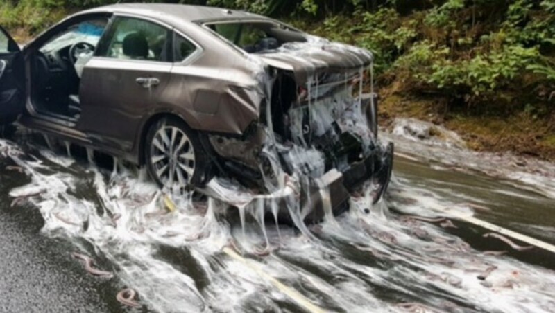 Auch die Unfallfahrzeuge waren mit dem Schleim der Aale überzogen. (Bild: Oregon State Police)