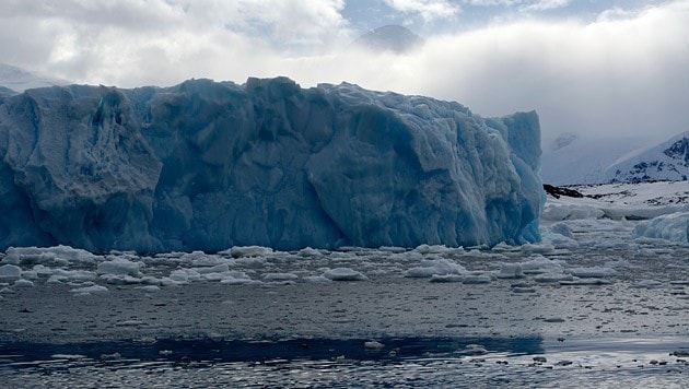 Eisberg in der Rothera-Bucht der Antarktis (Bild: Robert Ricken, Alfred-Wegener-Institut)
