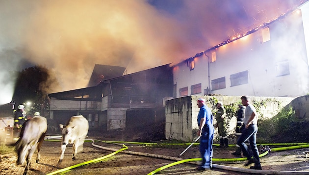 Die Wirtschaftstrakt des Anwesens stand in Flammen, 60 Rinder konnten gerettet werden. (Bild: Fotostudio Manfred Fesl)