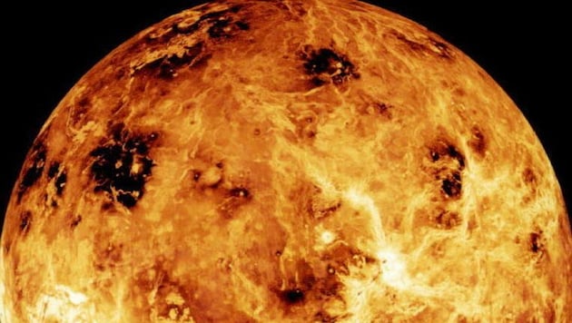 Die Venus (Bild: NASA)