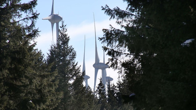 Derzeit gibt´s in Oberösterreich 31 Windräder, die soviel Strom wie eine Turbine eines Donaukraftwerks produzieren  (Bild: Jürgen Radspieler)