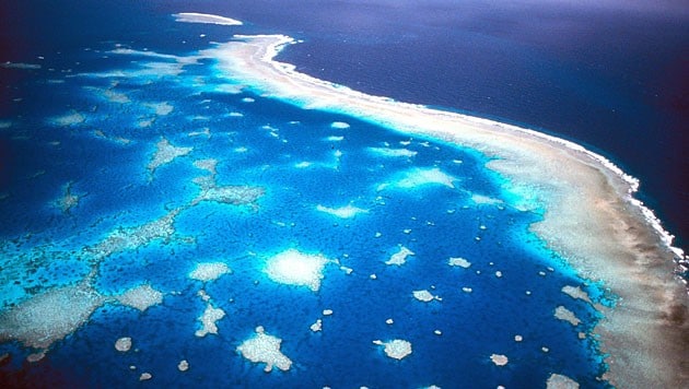 (Bild: Great Barrier Reef Marine Park)