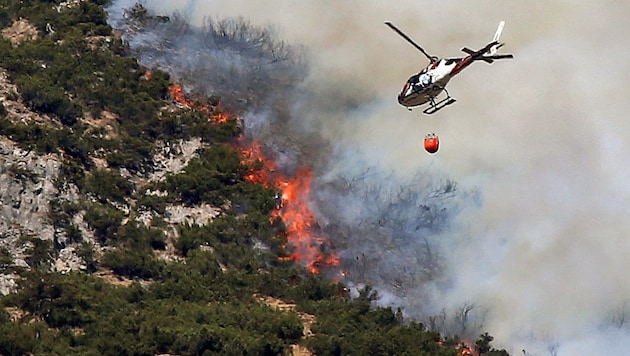 Ein riesiger Waldbrand am Hochmahdkopf bei Absam richtet 2014 Millionenschaden an. (Bild: Christof Birbaumer/Kronenzeitung)