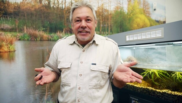 Reptilienexperte Werner Stangl (Bild: Jürgen Radspieler)