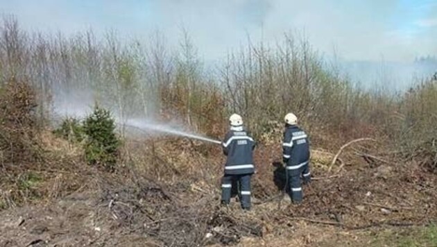 (Bild: Freiwillige Feuerwehr Lieboch)
