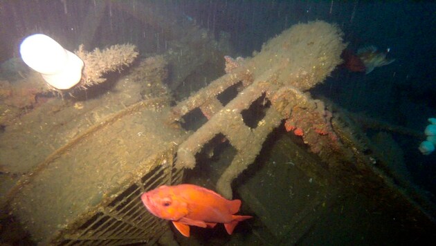 Die am 13. Juni 1917 gesunkene USCGC McCulloch wurde nun entdeckt. (Bild: EPA)