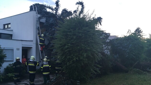 Eine Tanne stürzte in der Karawankenblickstraße auf ein Mehrparteienhaus. Verletzt wurde niemand. (Bild: Schwab)