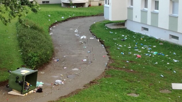 Im Klagenfurter Stadtteil Feschnig fegten die Sturmböen Mülltonnen um und verteilten den Inhalt. (Bild: C. Trevisan)