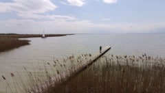 Der Neusiedler See (Bild: APA/Helmut Fohringer)