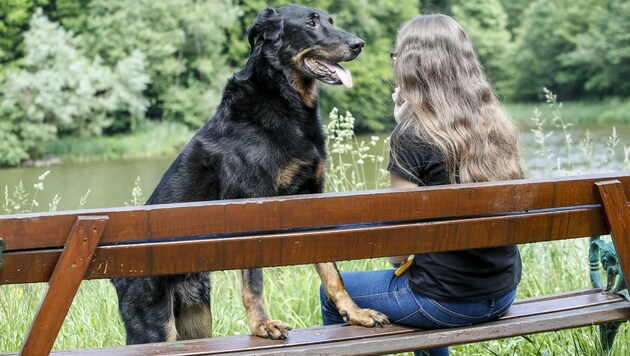 Sabine mit ihrem Beauceron. Der Hund habe ihr sehr bei der Bewältigung ihres Traumas geholfen. (Bild: Markus Tschepp)
