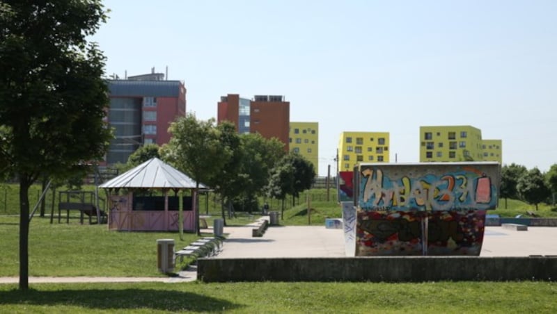 Der Skaterpark in Wien-Liesing (Bild: Peter Tomschi)