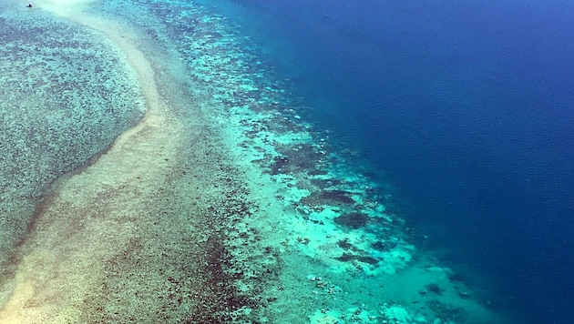 Das Great Barrier Reef vor Australien aus der Luft (Bild: ARC Center of Excellence/James Kerry)