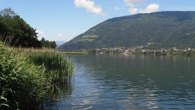 Der Ossiacher See in Kärnten (Bild: krone.at-Leserreporter Michael Gatt)