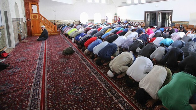 In heimischen Moscheen predigen auch Imame, die weder Deutsch können noch hier ausgebildet wurden. (Bild: Stanislav Jenis / picturedesk.com)
