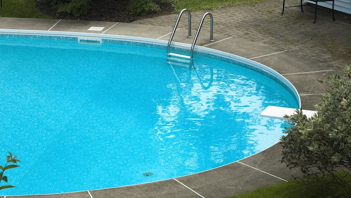Schwimmbecken können für Igel ohne geeignete Ausstiegshilfe zur tödlichen Falle werden.