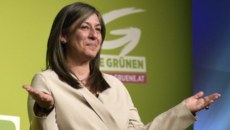 Maria Vassilakou (Bild: APA/HANS PUNZ)