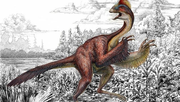 Künstlerische Darstellung der Dinosaurier-Art Anzu wyliei (Bild: Carnegie Museum of Natural History, Mark Klingler)