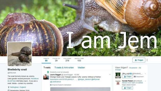 Für "Jeremy" wurde online nach eine/r Partner/in gesucht. (Bild: Screenshot twitter.com/Shellebrity snail)