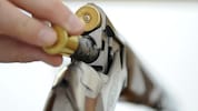 Der Erwerb von Schusswaffen wird merklich erschwert.