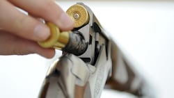 Der Erwerb von Schusswaffen wird merklich erschwert.