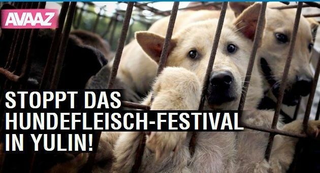 Screenshot einer Online-Petition gegen das Hundefleisch-Festival. (Bild: Screenshot https://secure.avaaz.org)