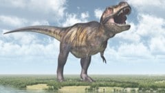 Künstlerische Darstellung eines Tyrannosaurus rex (Bild: thinkstockphotos.de)